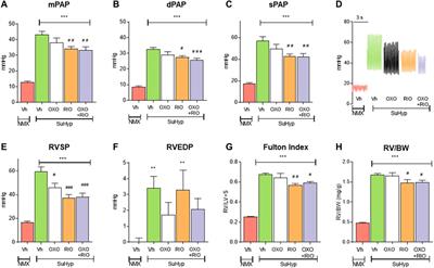 Corrigendum: Impact of a TAK-1 inhibitor as a single or as an add-on therapy to riociguat on the metabolic reprograming and pulmonary hypertension in the SUGEN5416/hypoxia rat model